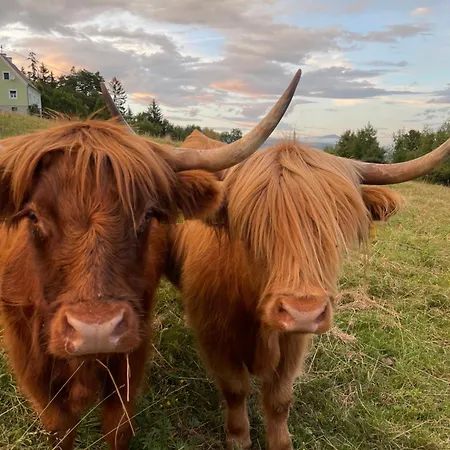 Apartment Schmiedlenz Kumberg