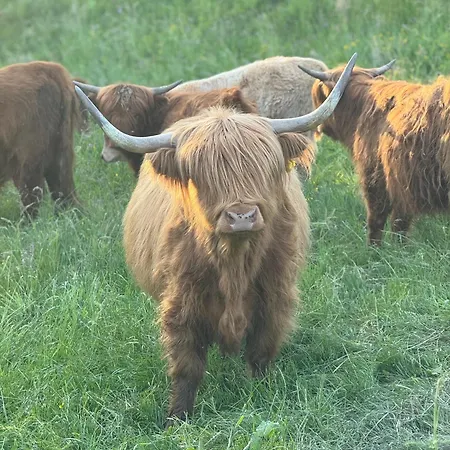 Schmiedlenz * Kumberg