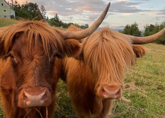 شقة Schmiedlenz Kumberg
