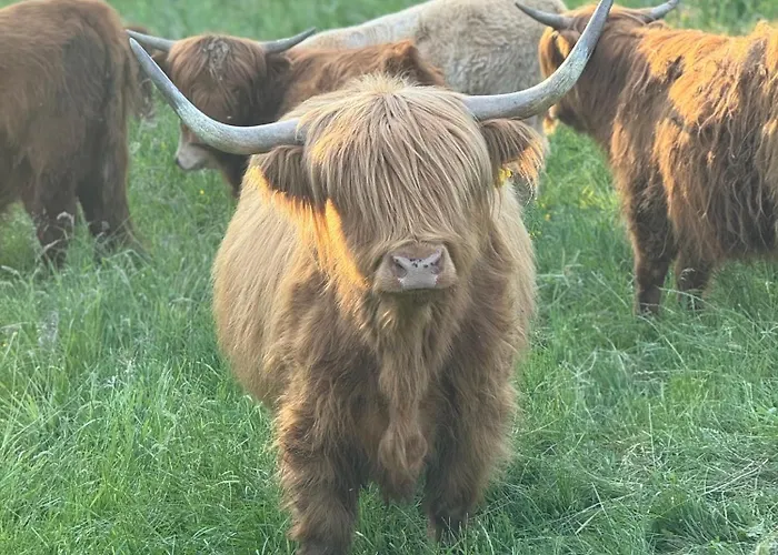 Schmiedlenz * Kumberg